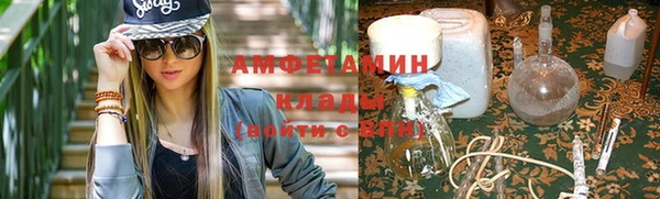 индика Алзамай