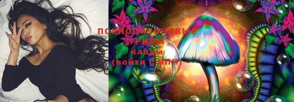 индика Алзамай